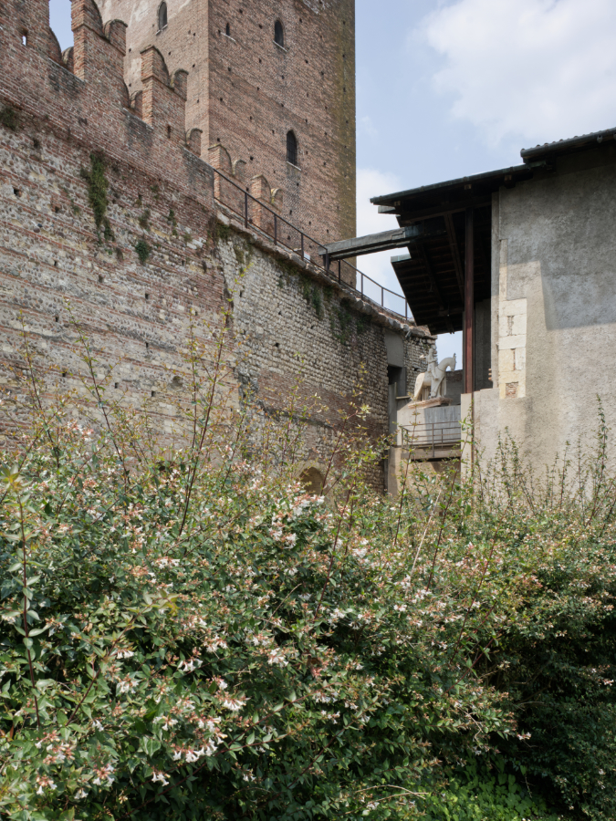 2021-07/scarpa-castelvecchio-31